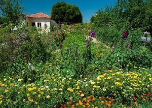 ¿Cuánto ruido hace un desbrozadora?